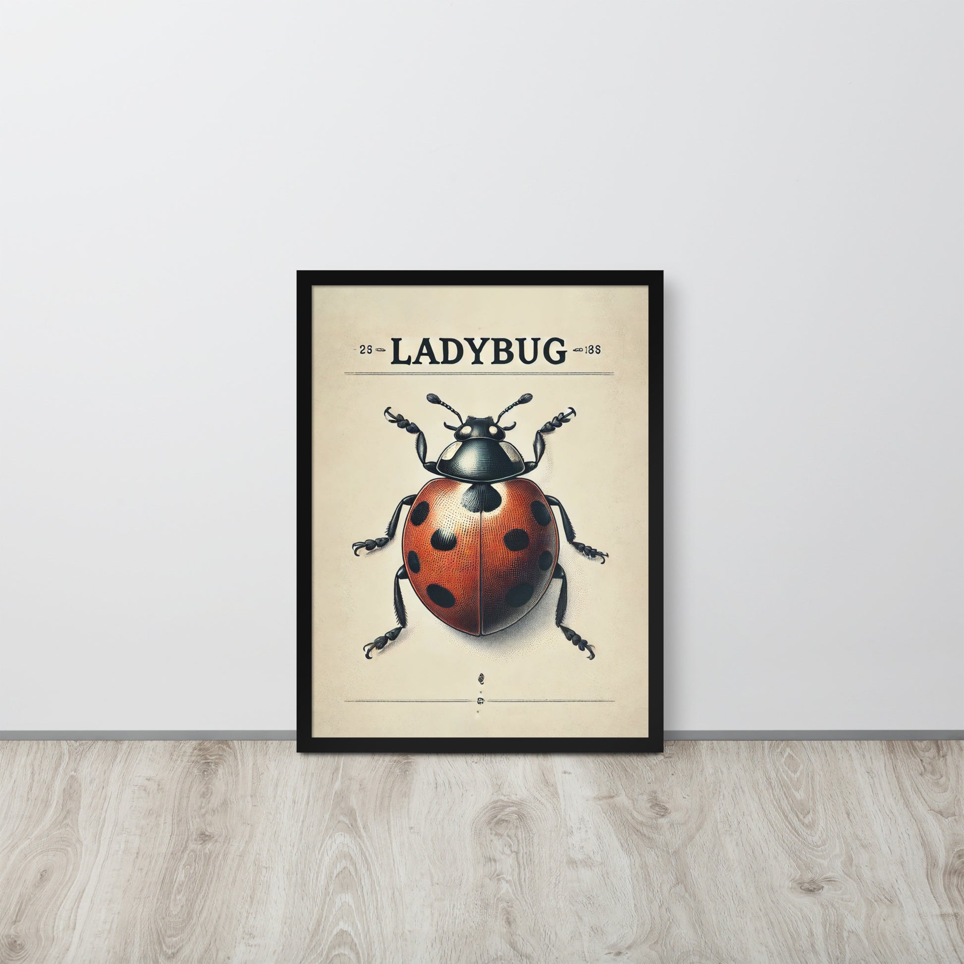 affiche coccinelle vintage