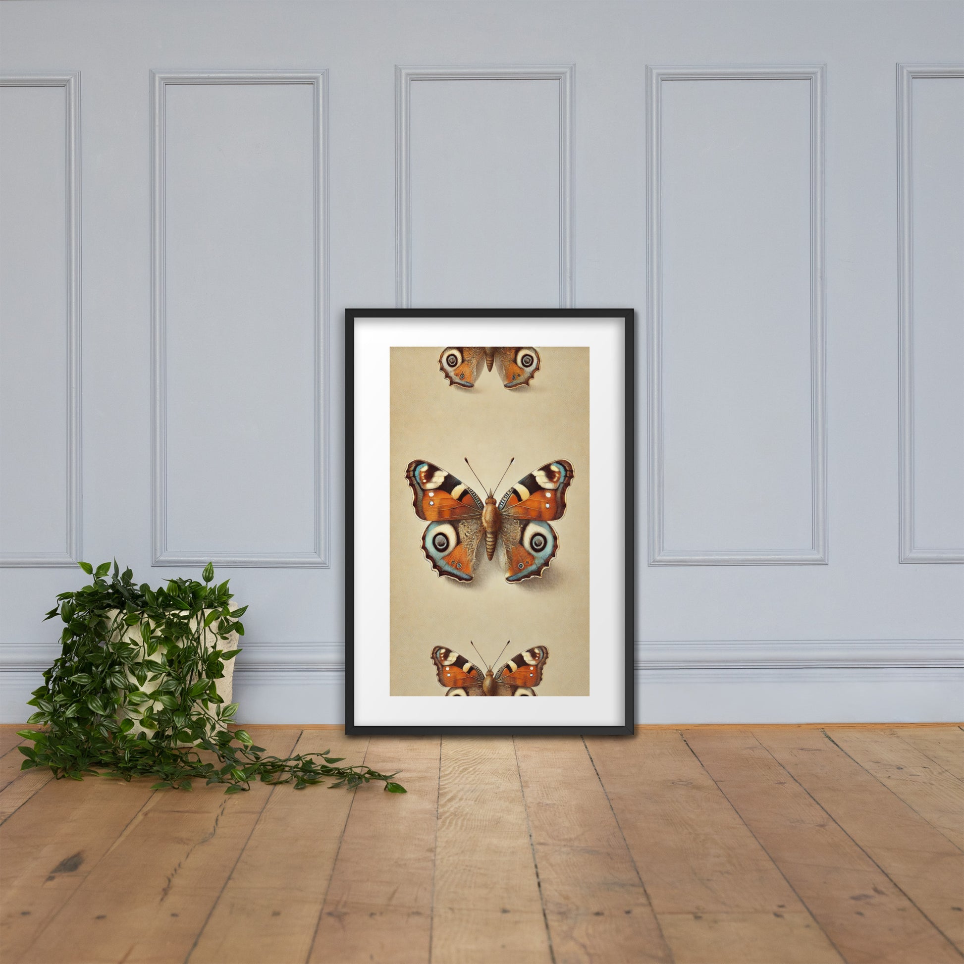 poster papillon marron